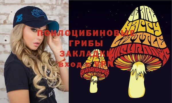прущие грибы Алексеевка