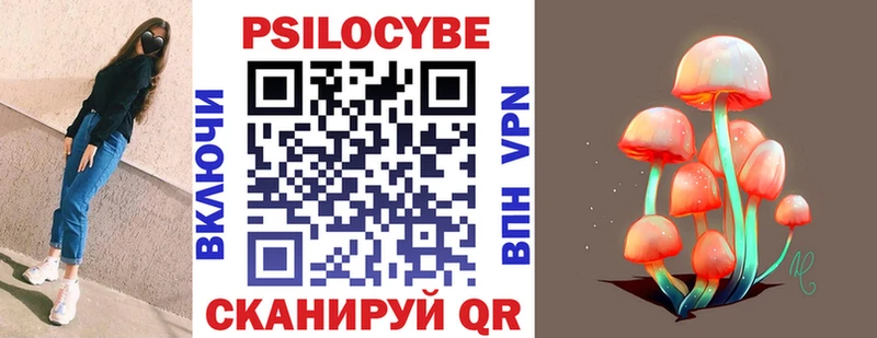 blacksprut сайт  хочу наркоту  Жуков  Псилоцибиновые грибы Cubensis 